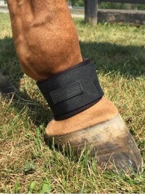 Brand new! EQUIFIT PASTERN WRAP for horses